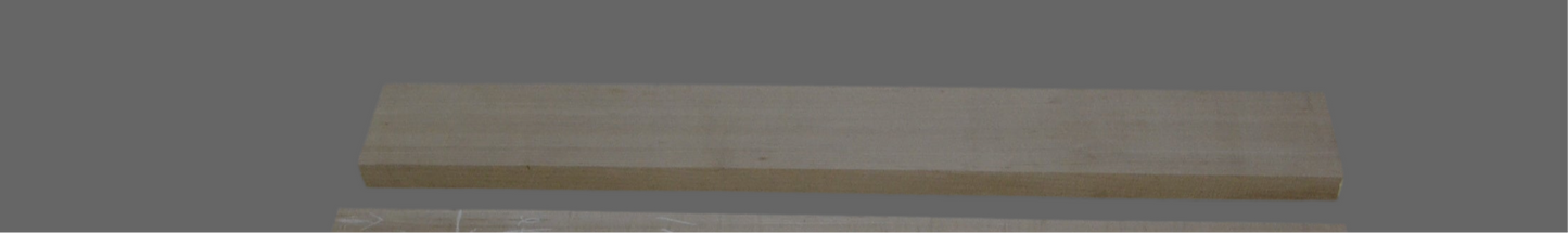 Hard Maple Neck (#elg-185)