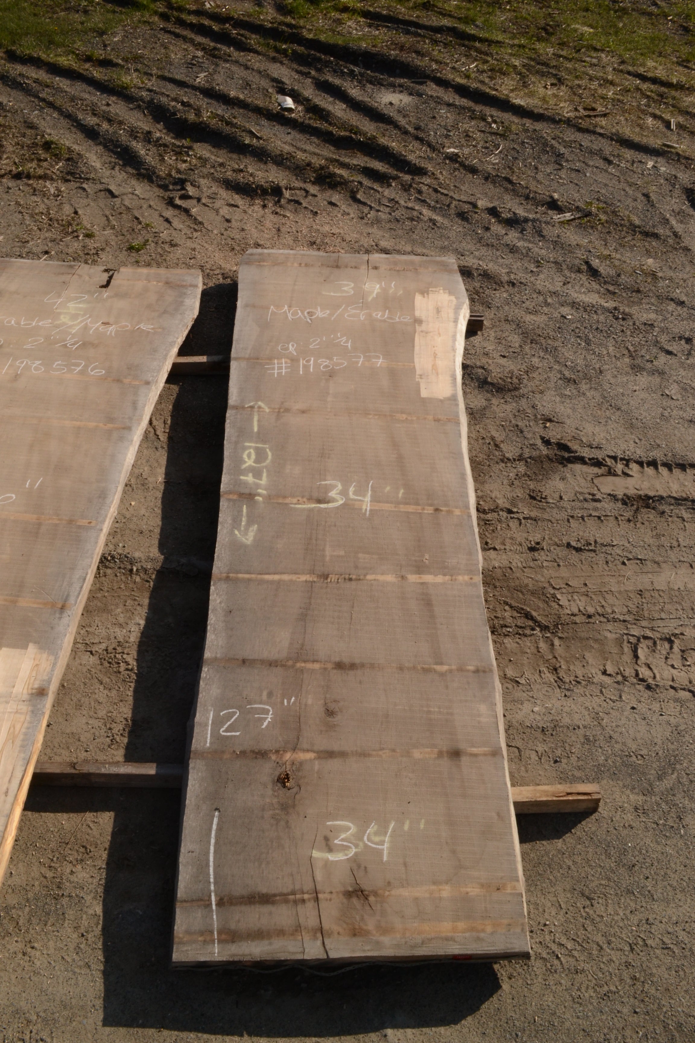 Maple slab (198577) canam logs & lumber