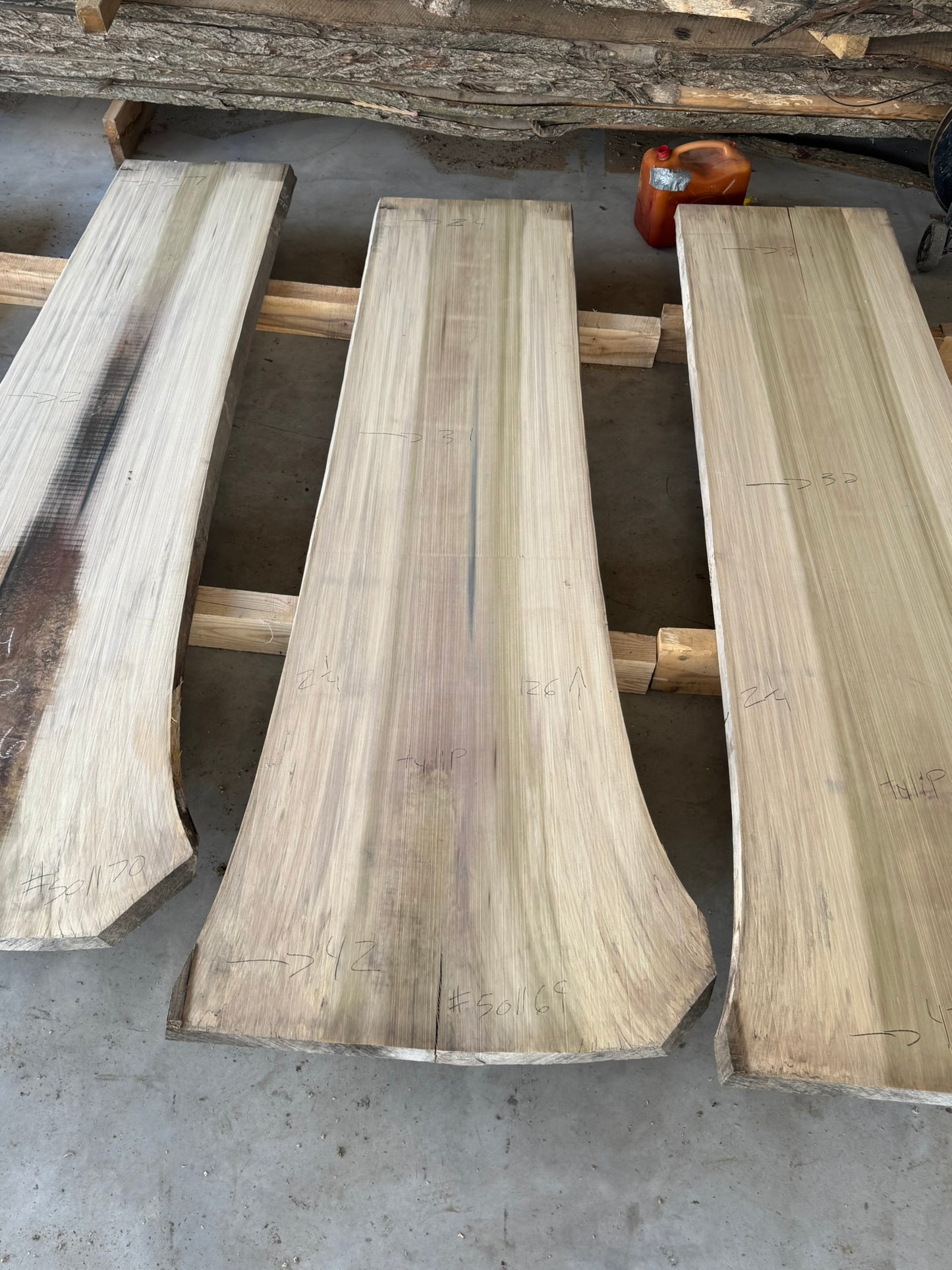 Tulip poplar slab