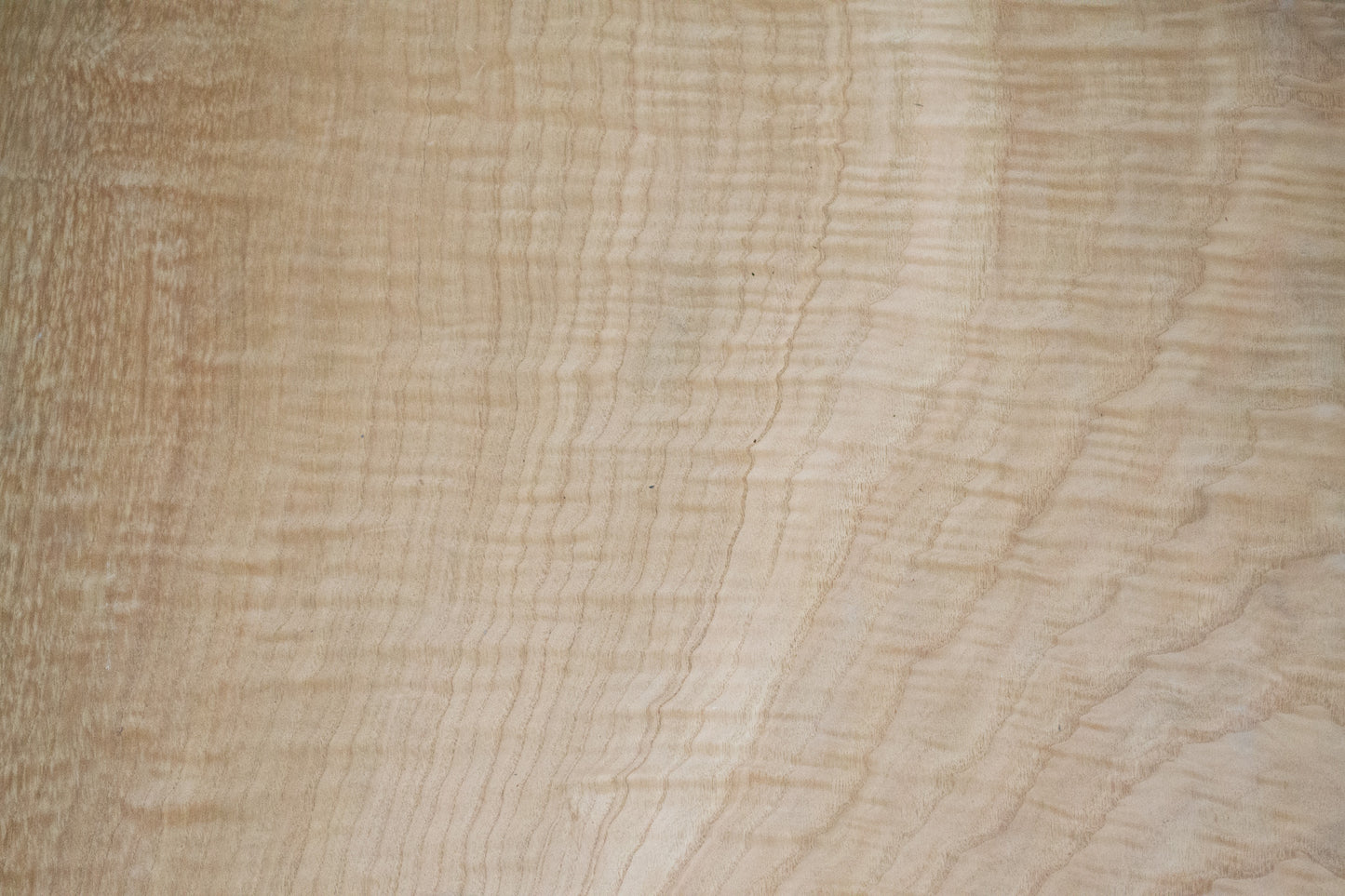 Chestnut Swirl (Log#169712)