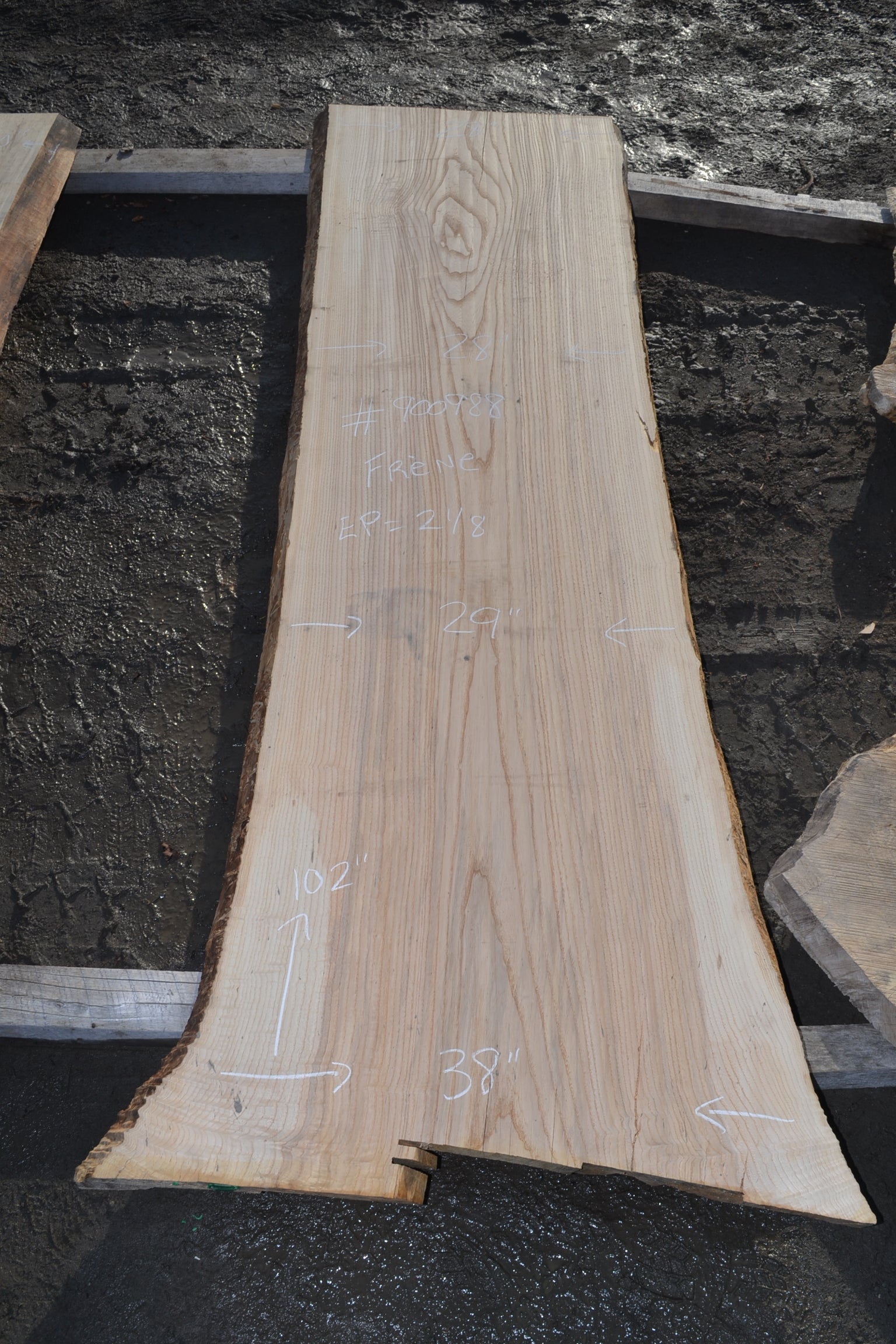 Ash Slabs width ranging from 25'' to 30'' – can-am logs & lumber