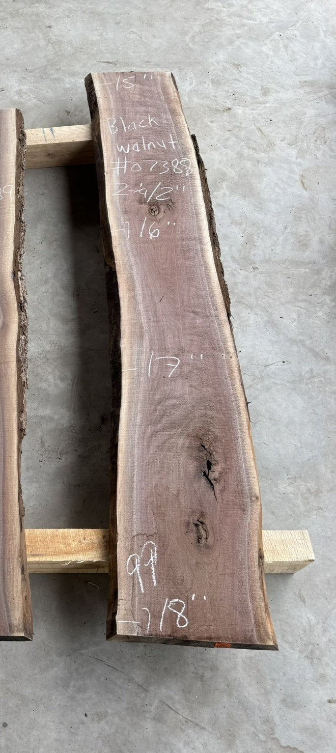 Planed Small black walnut live edge