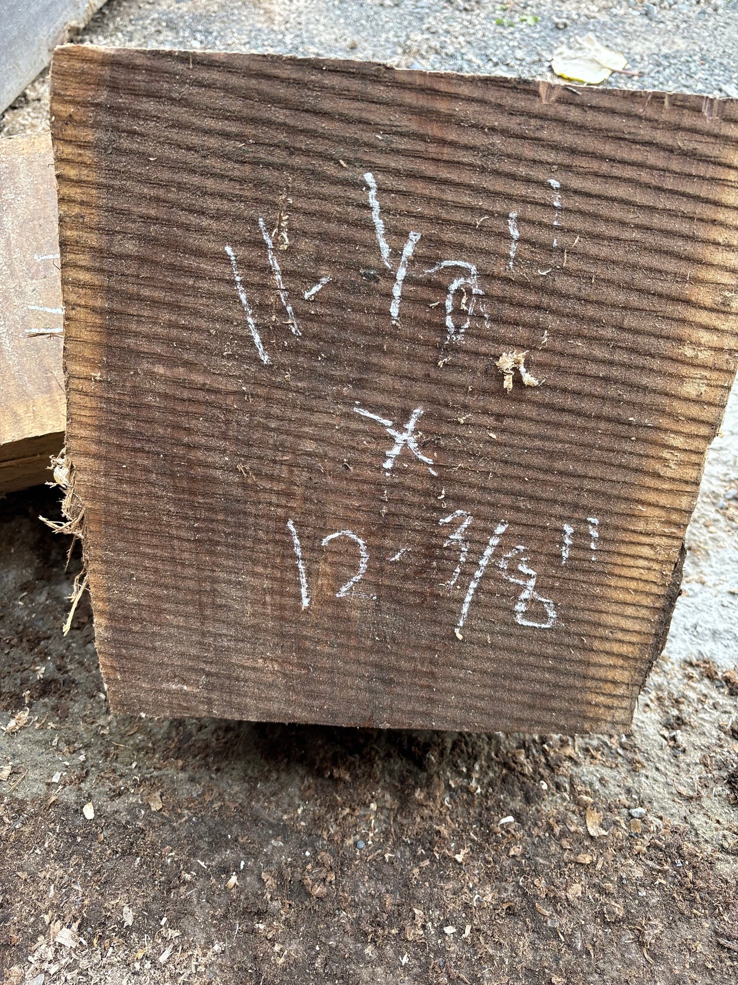 Green Black Walnut turning blocks