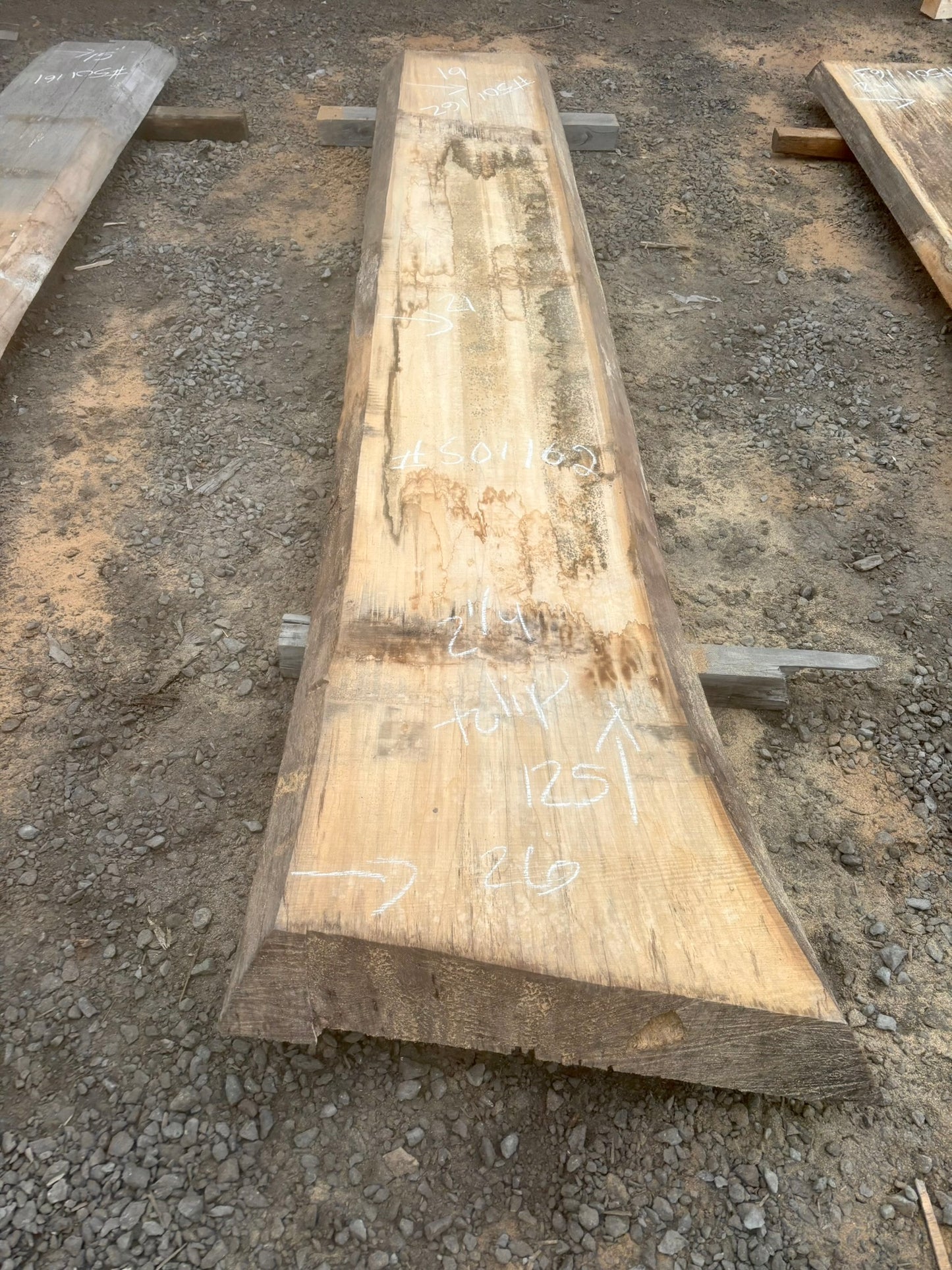 Slab de bois en tulipier . Bois sécher au four. (#501162)