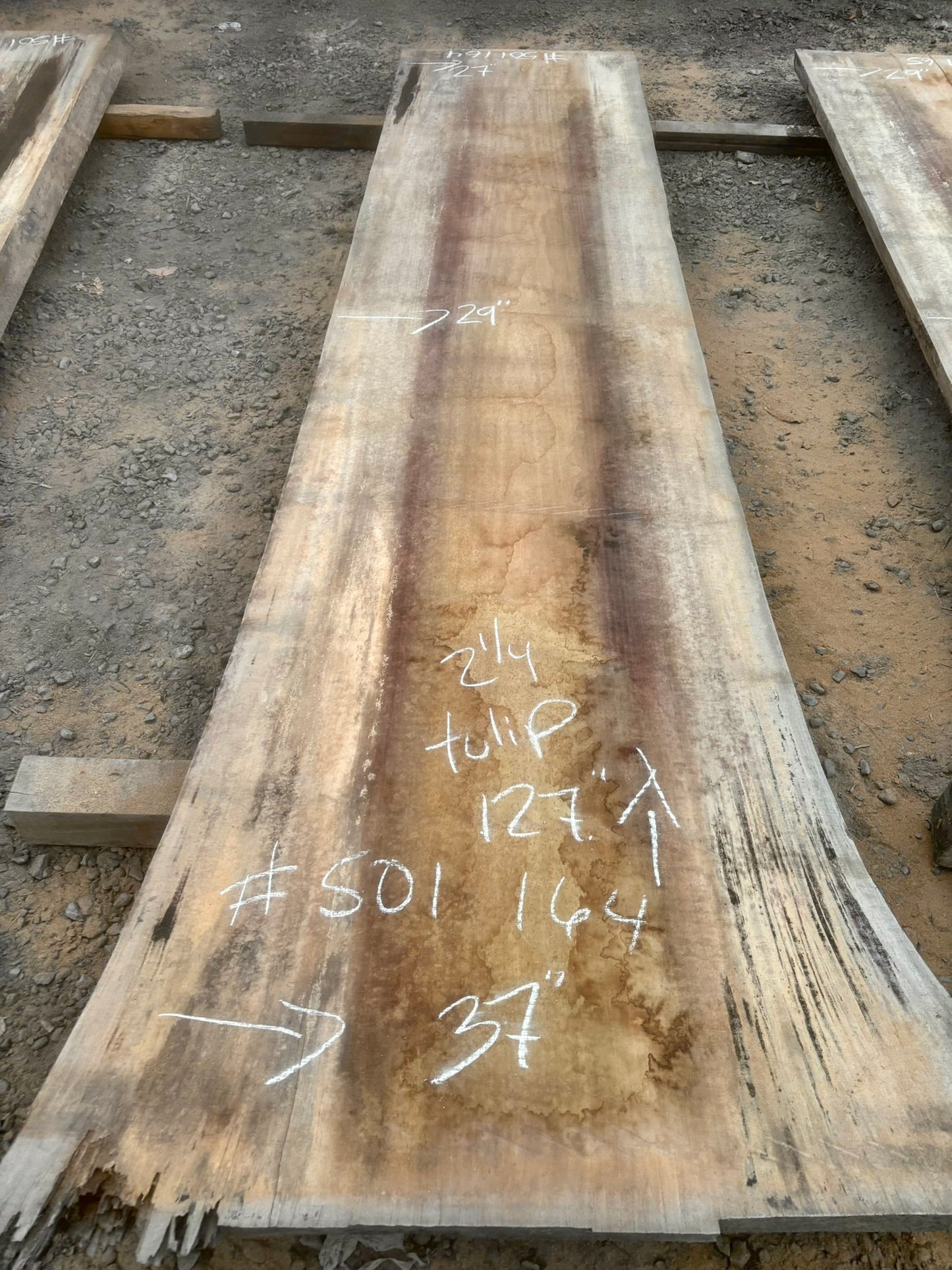 KD Tulip poplar Live edge Lumber (#501164)