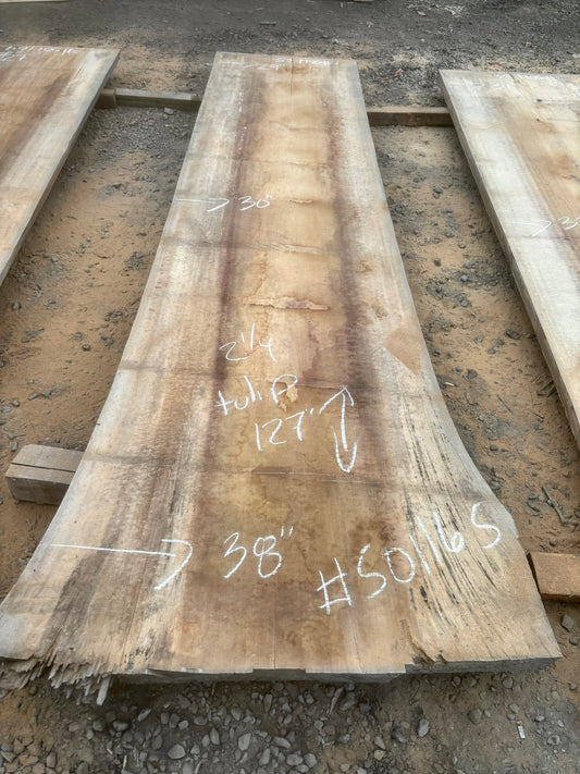 Slab de bois en tulipier . Bois sécher au four. (#501165)