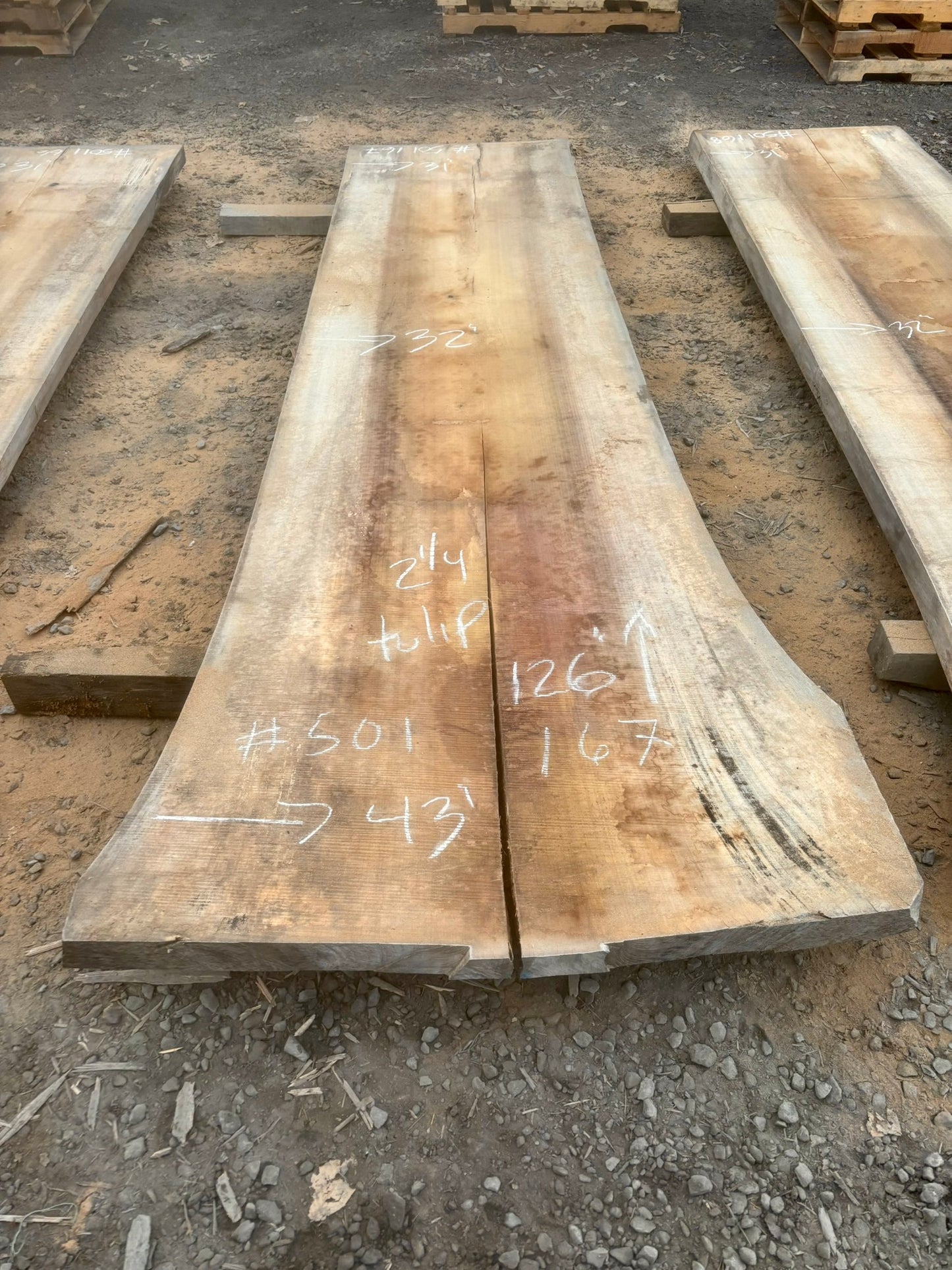 KD Tulip poplar Live edge Lumber (#501167)