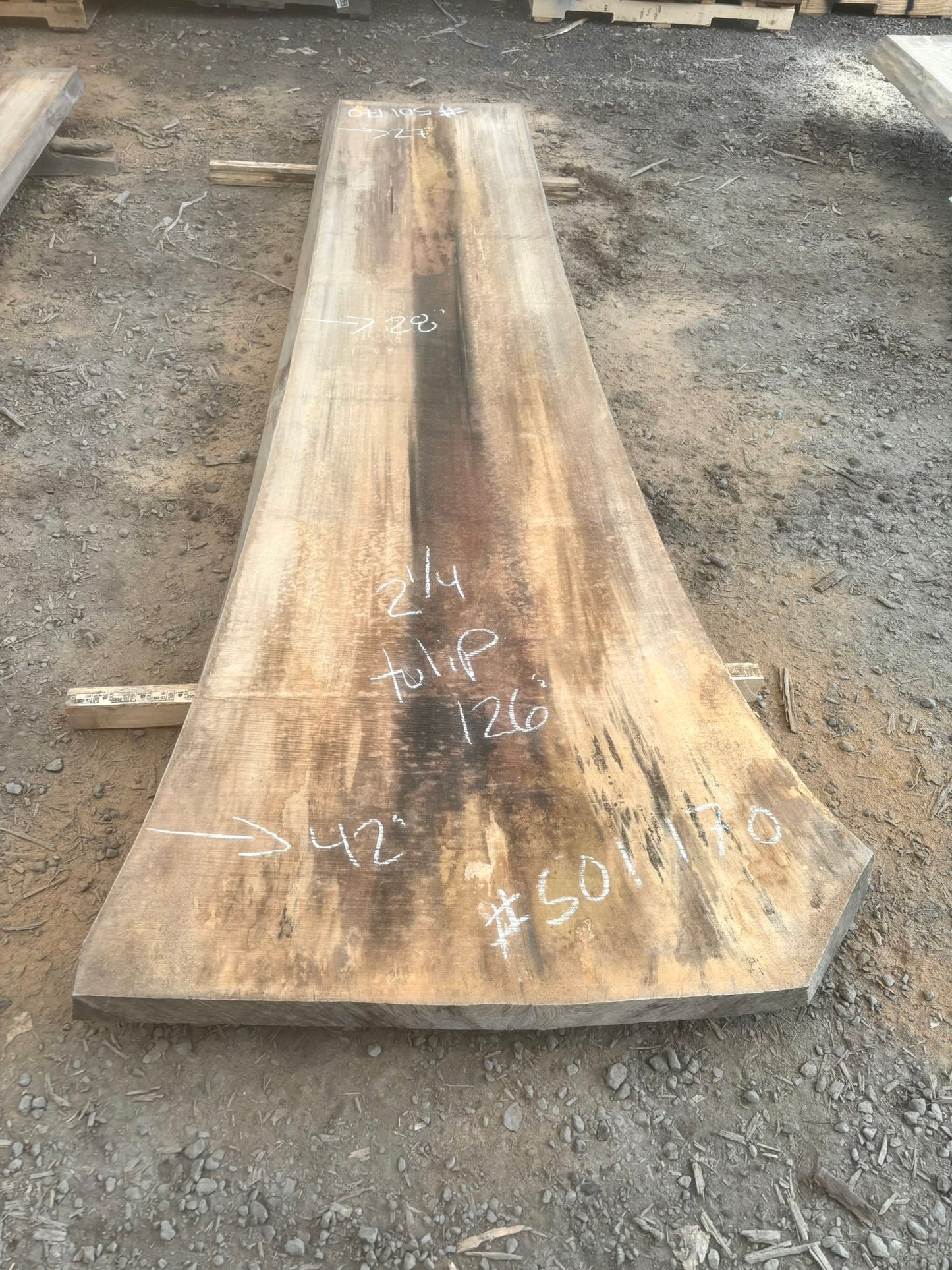 KD Tulip poplar Live edge Lumber (#501170)