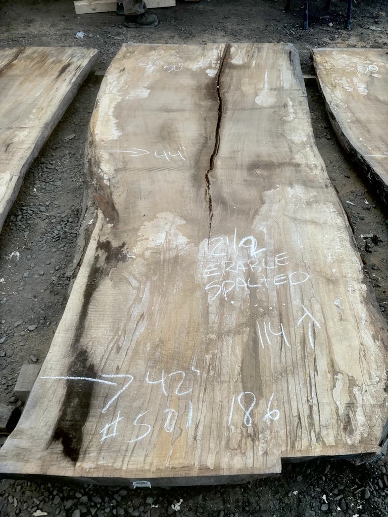 KD Sploted Maple Slab