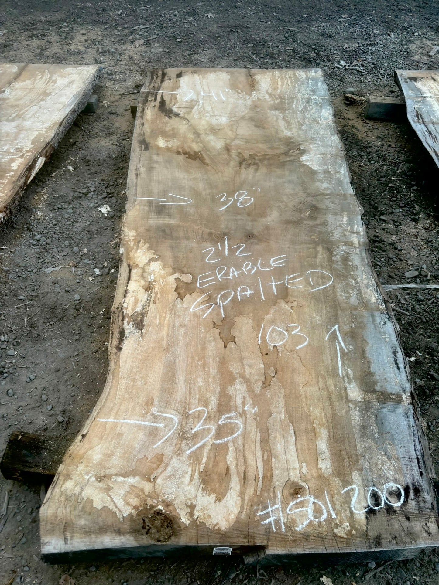 Kiln Dried Spolted Maple Slab(#501200).