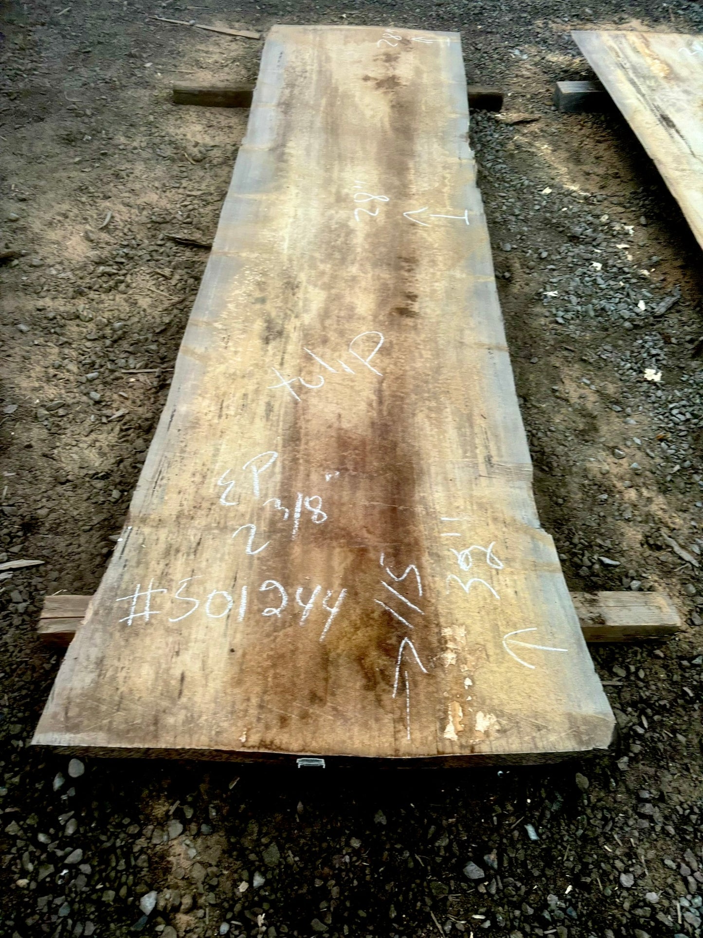 Tulip KD Lumber