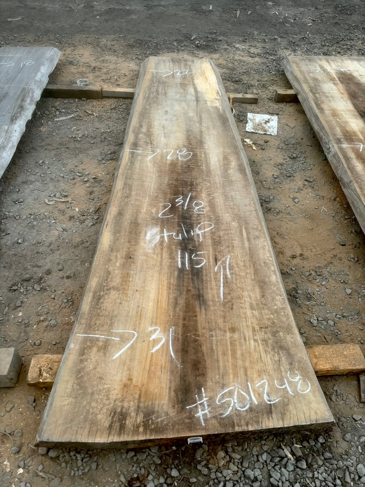 Slab de bois en tulipier . Bois sécher au four. (#501248) 