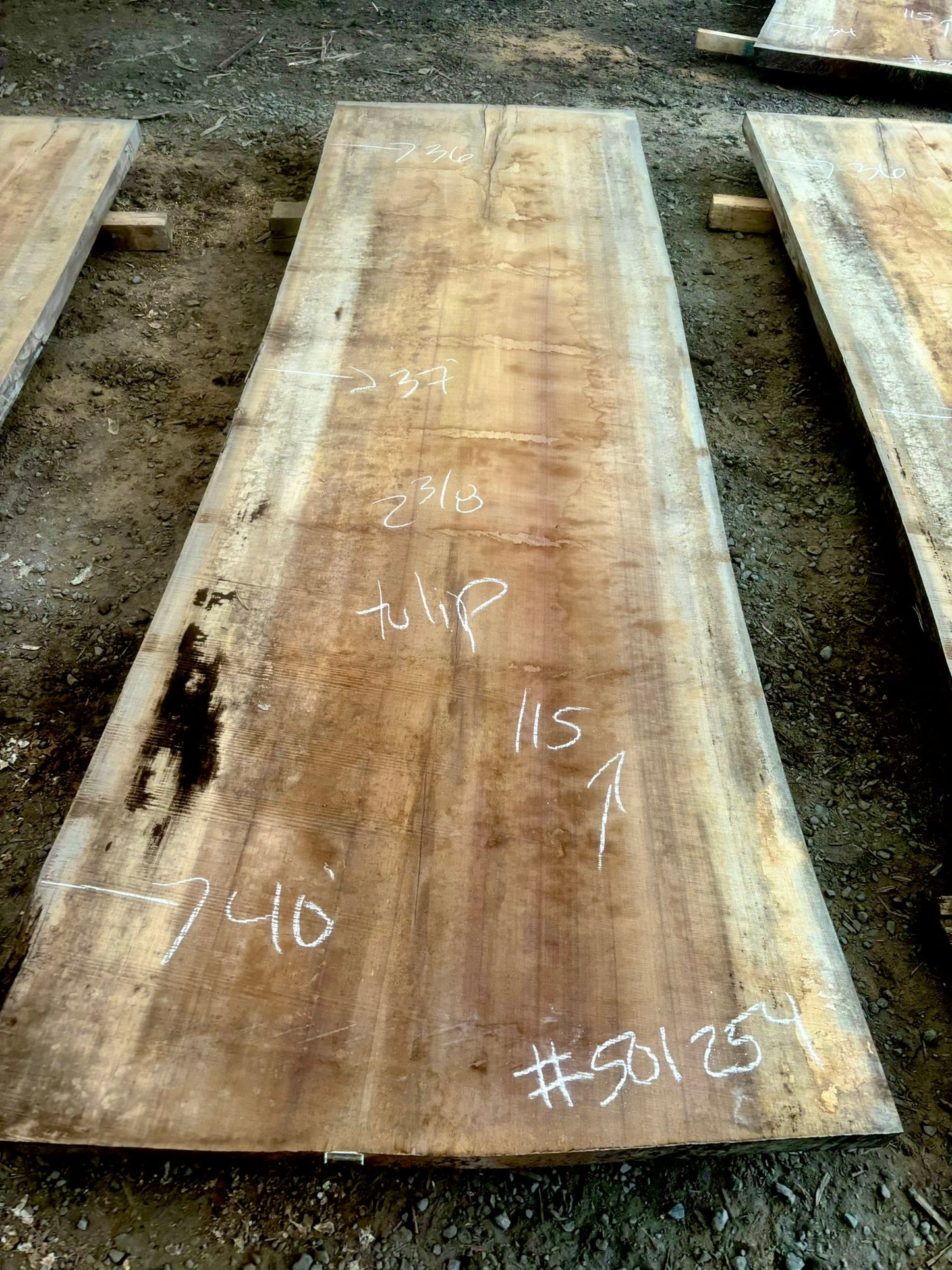 KD Tulip poplar Live edge Lumber (#501254)