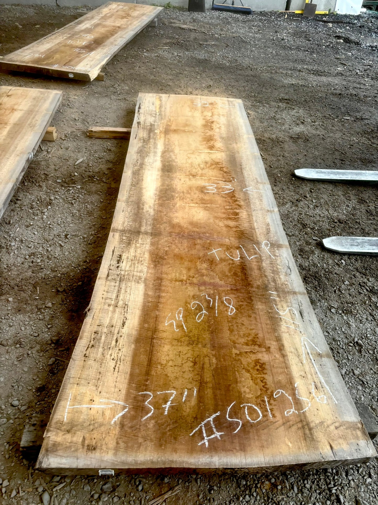 KD Tulip poplar Live edge Lumber (#501256)