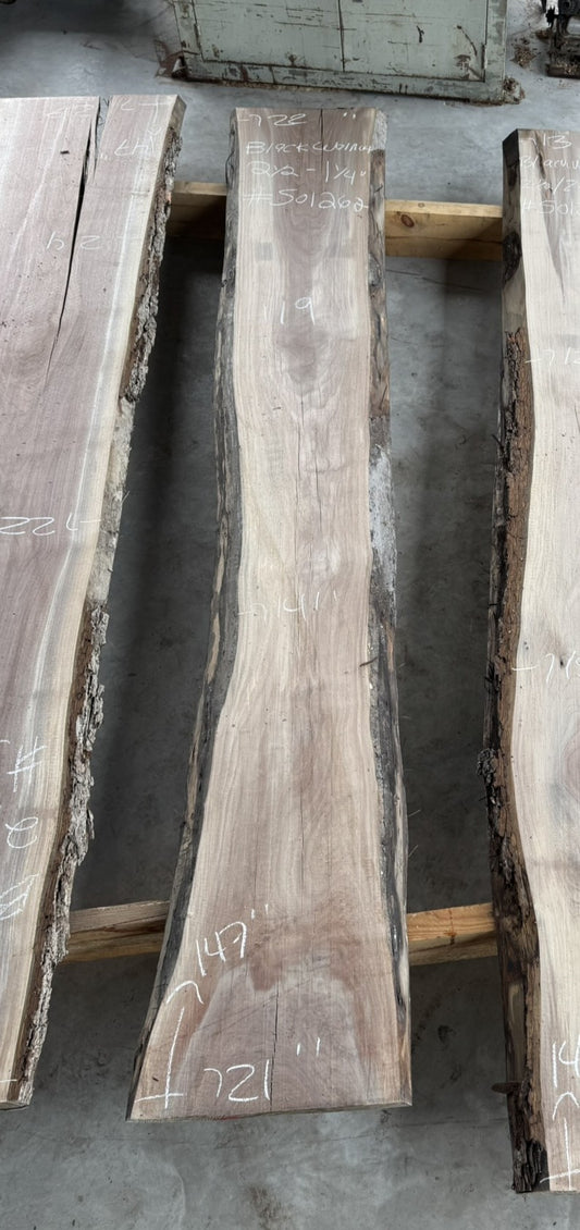 Slab en noyer noir déjà plané sécher au four. 