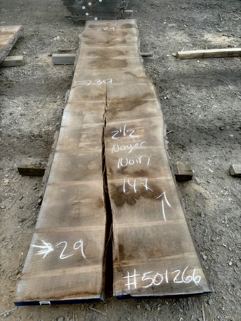 KD Black Walnut Lumber