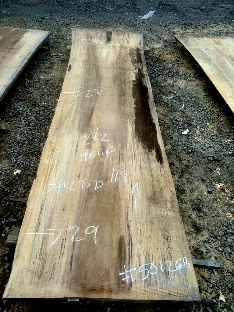 KD Poplar Slab