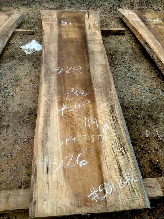 Tulip Poplar KD slab