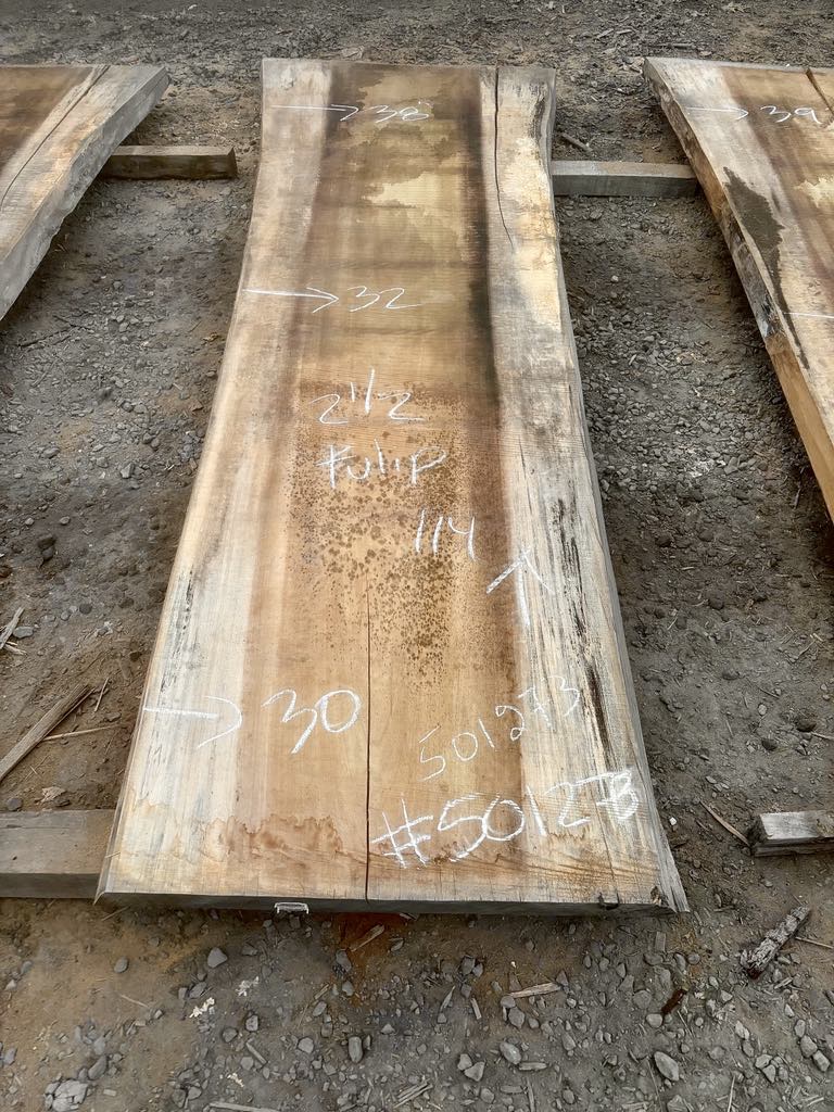 KD tulip poplar slab