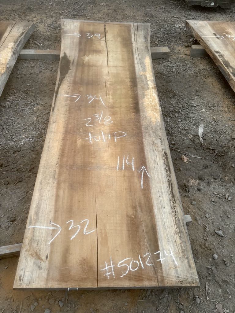 KD Tulip poplar Lumber