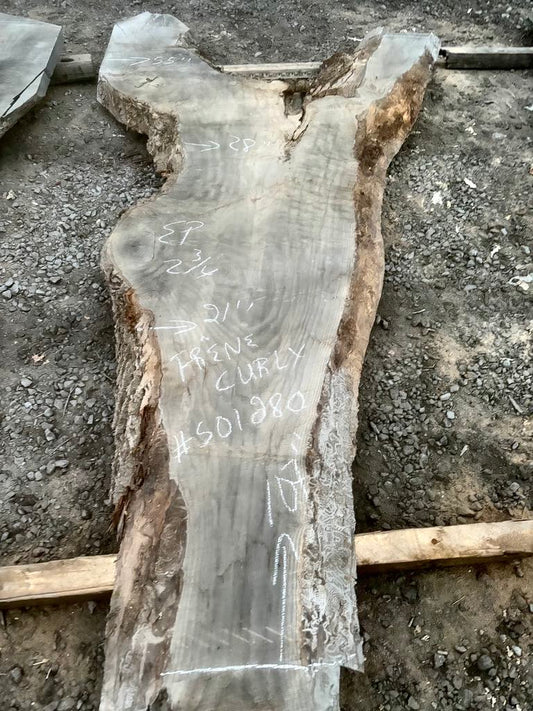 Curly Ash Slab 