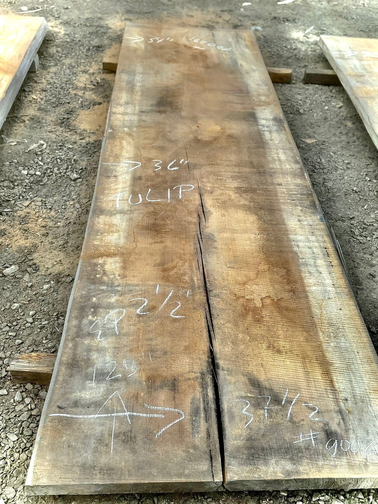 Tulip poplar slab 