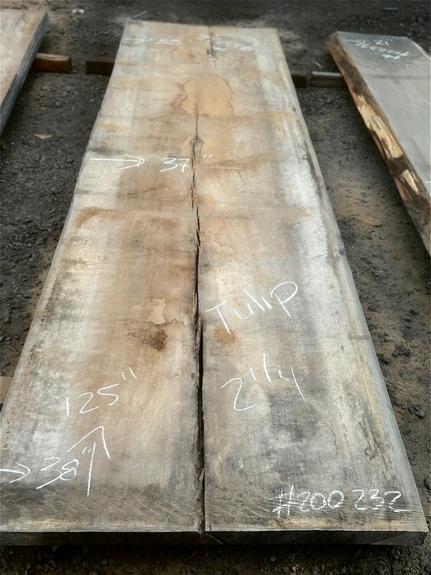 Slab de bois en tulipier . Bois sécher au four. (#900232)