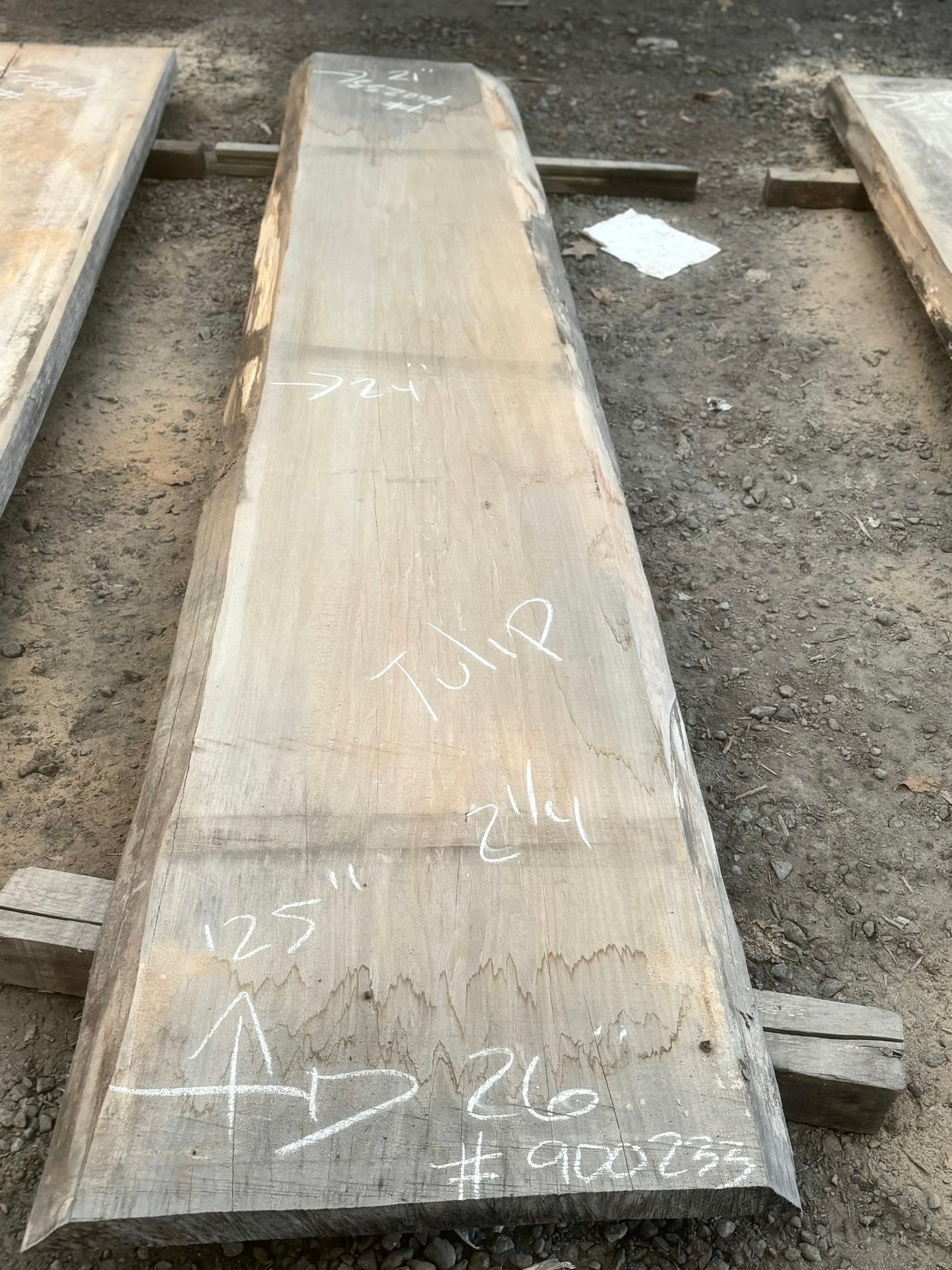 Tulip Poplar KD slab