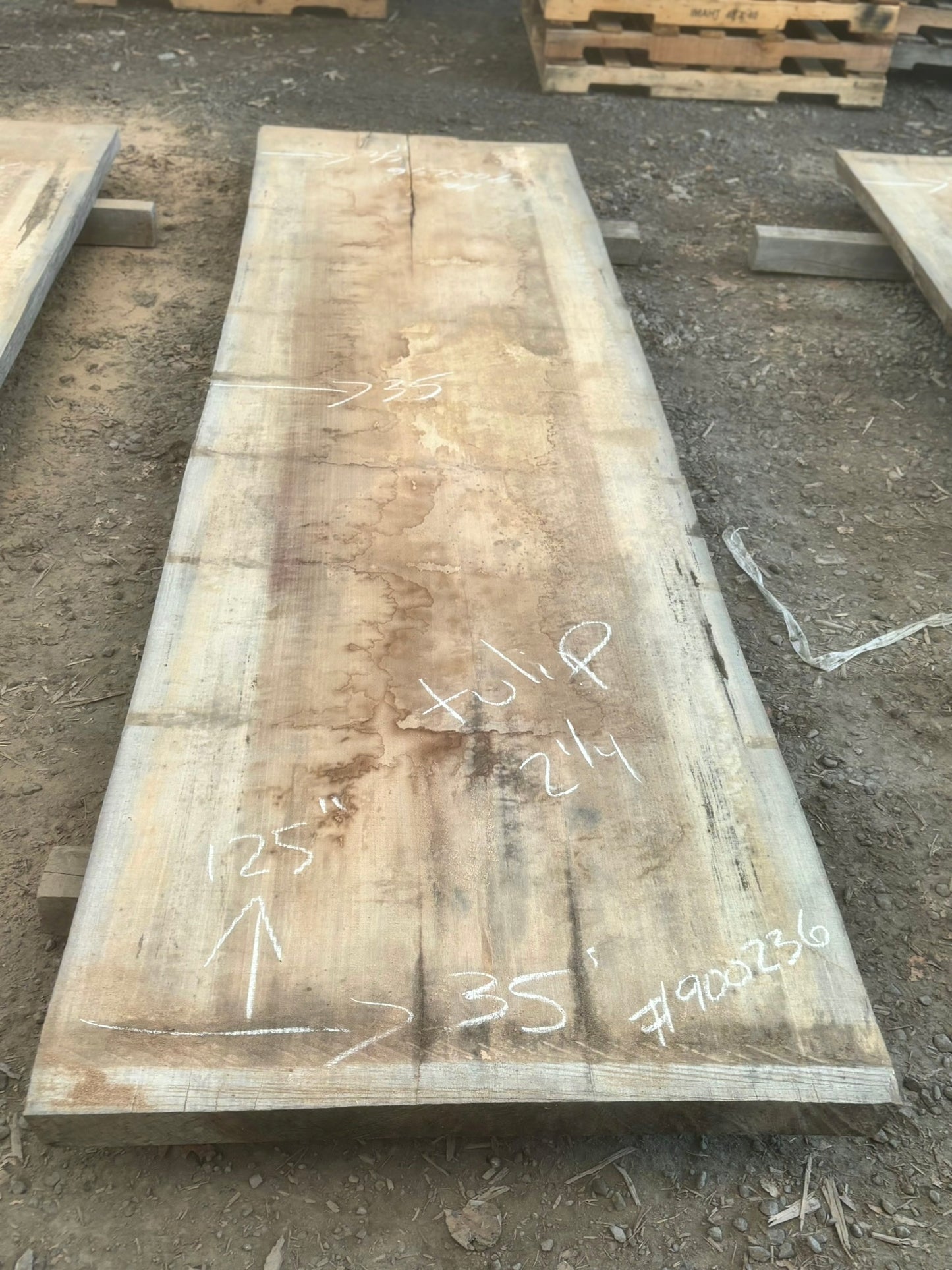 KD Tulip poplar Live edge Lumber (#900236).