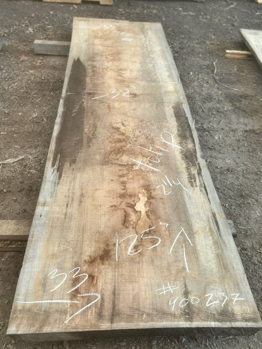 Slab de bois en tulipier . Bois sécher au four. (#900237)