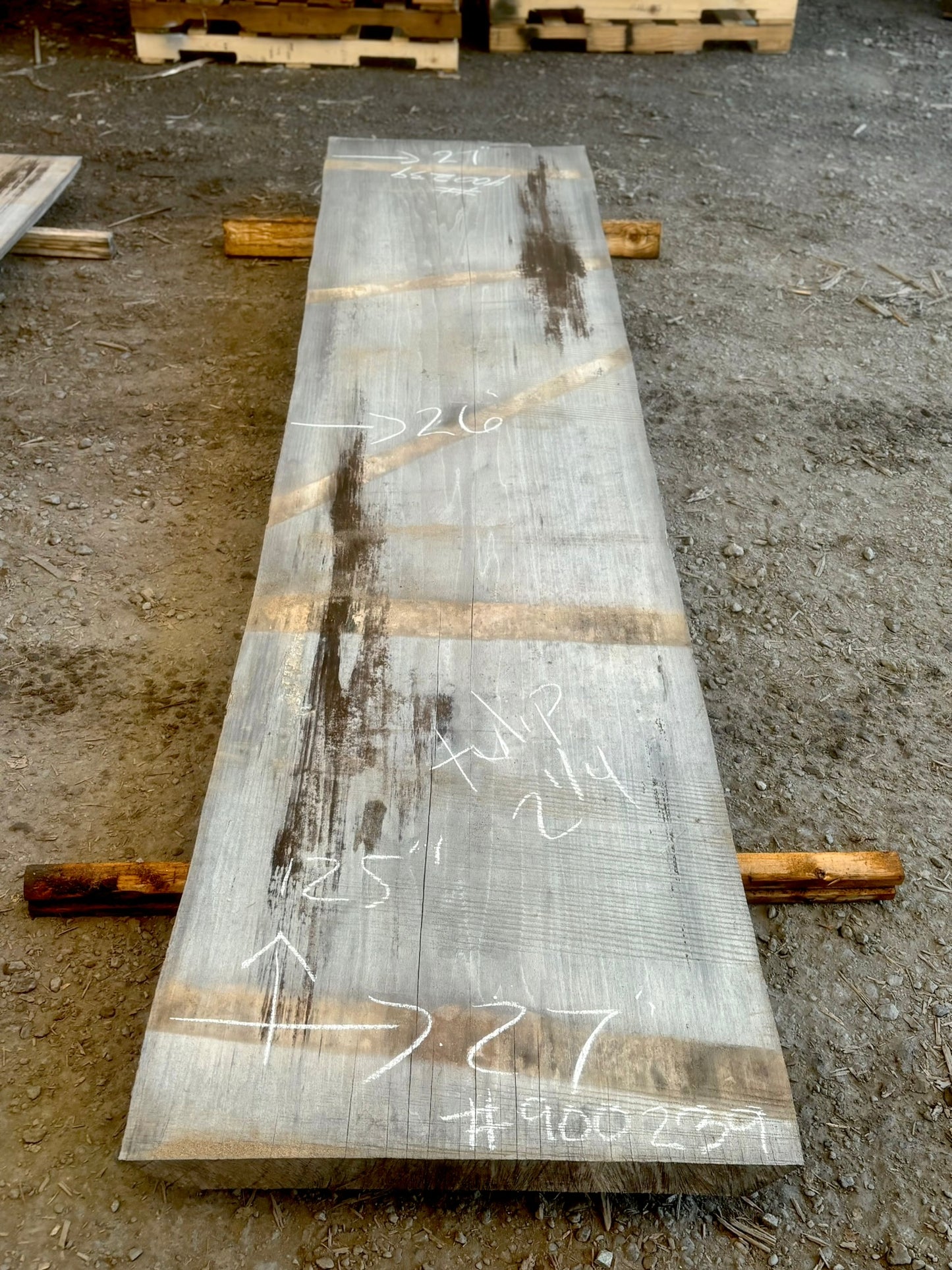 KD Tulip poplar Live edge Lumber (#900239)