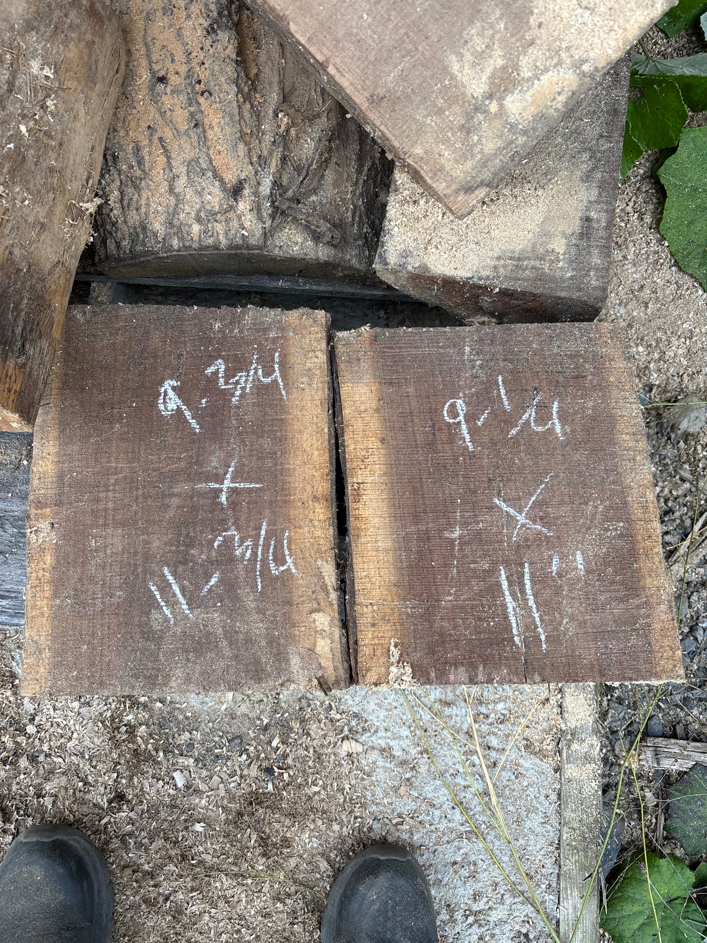 Green Black Walnut turning blocks