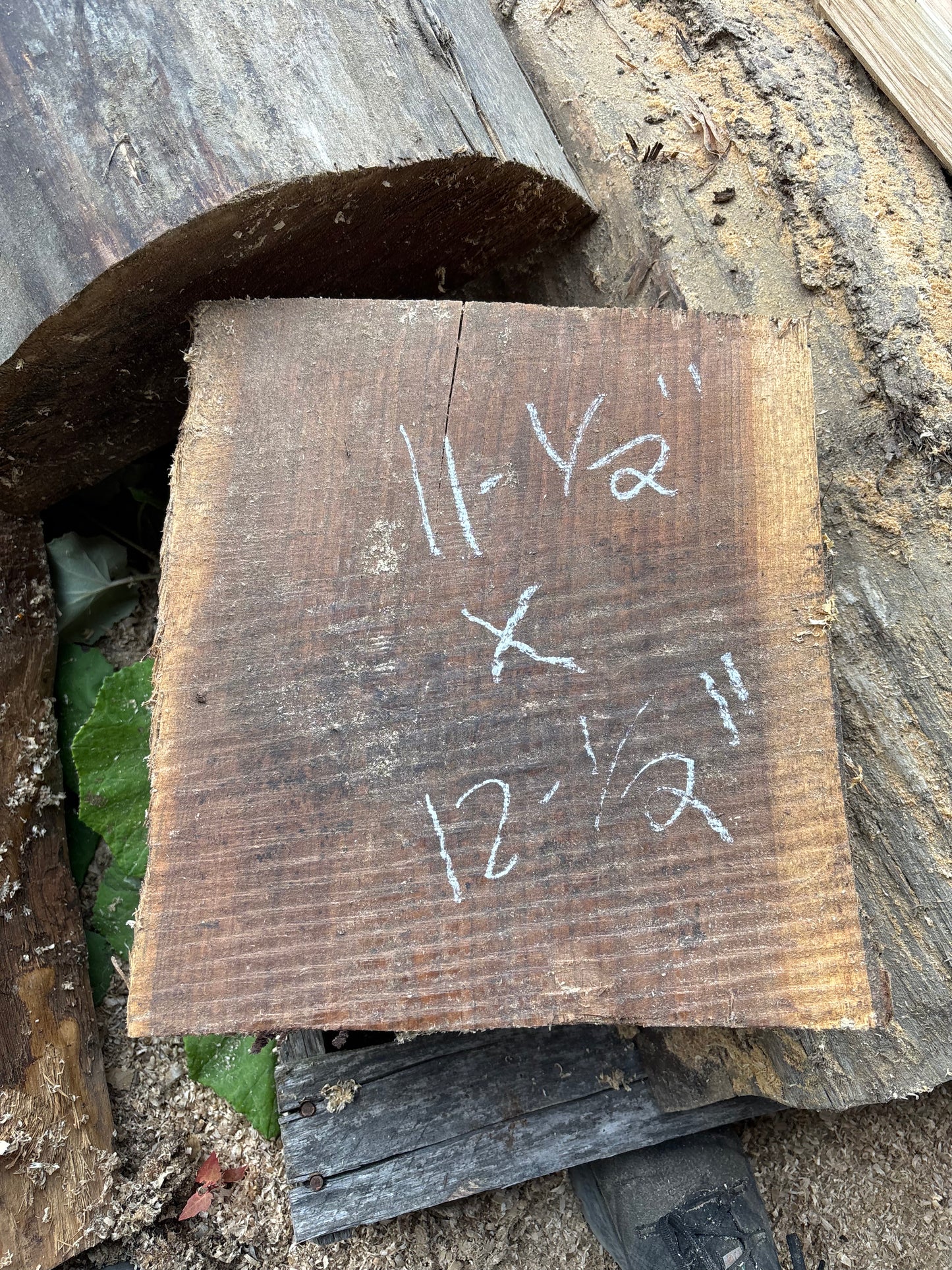 Green Black Walnut turning blocks