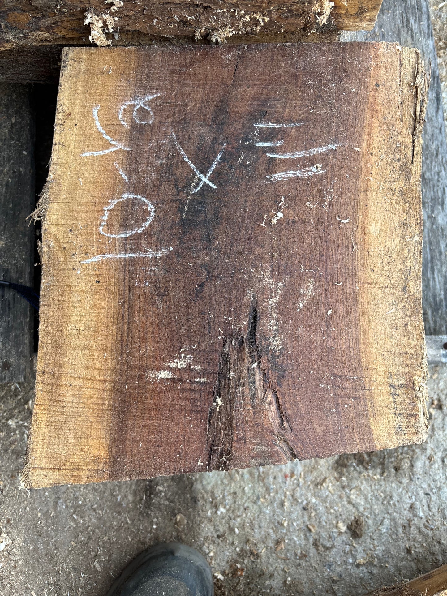 Green Black Walnut turning blocks
