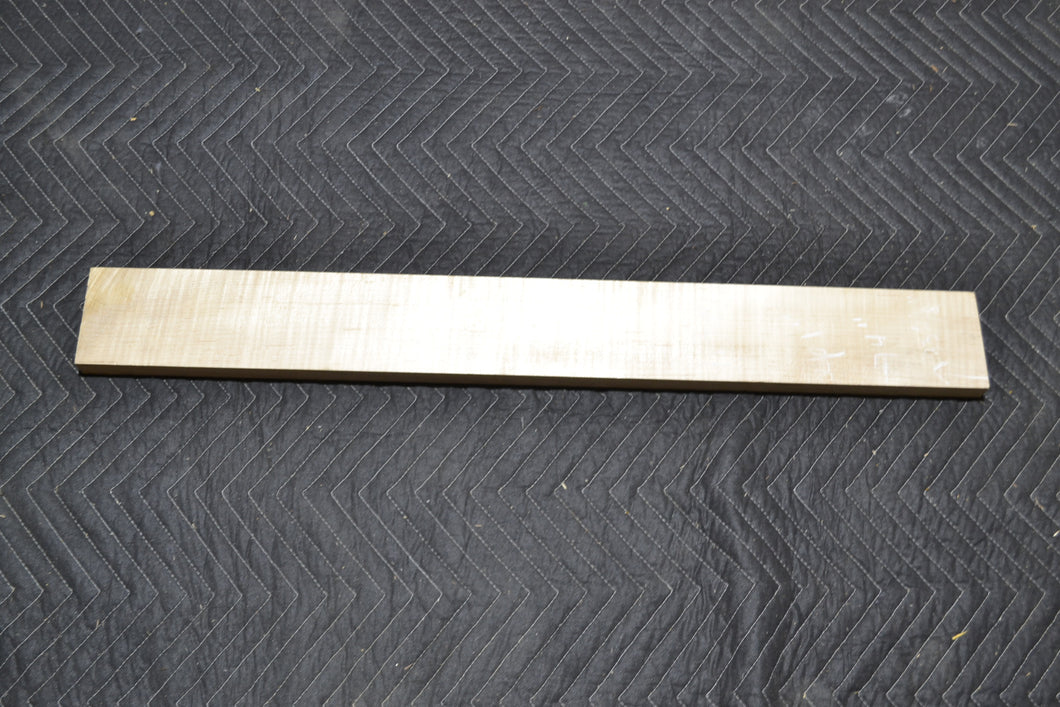 Soft curly maple neck (#elg-98)