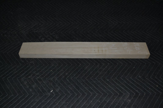 Hard Maple Neck (#elg-169)