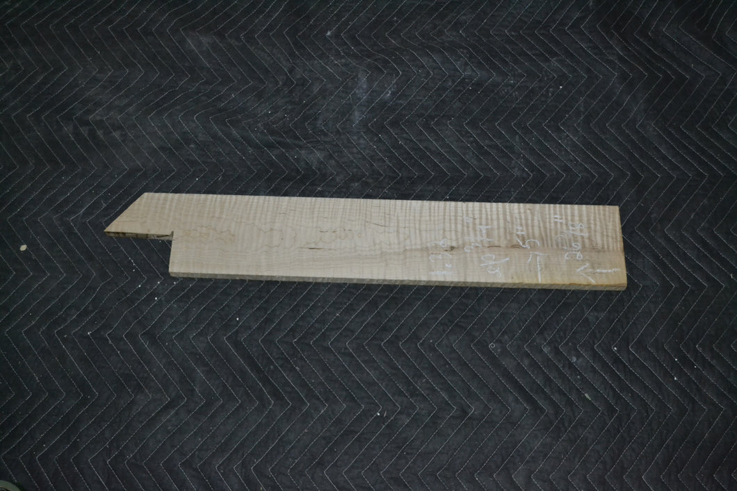 Curly Soft Maple neck (#elg-213)