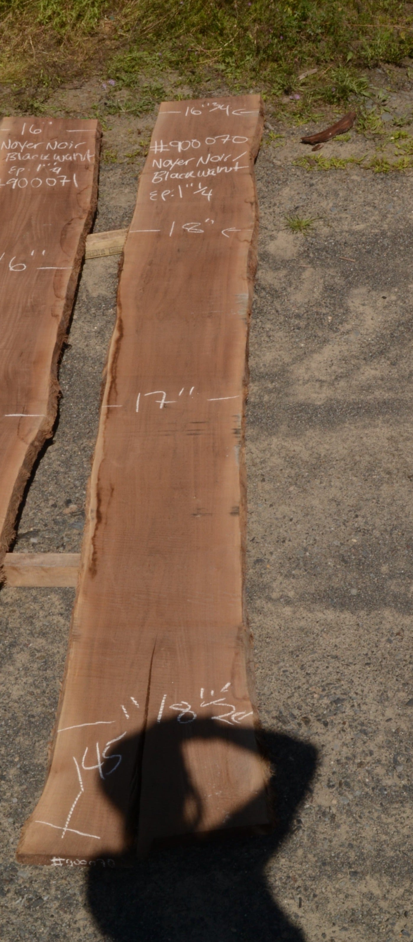 Kiln dried Black Walnut Slab.  (#900070)