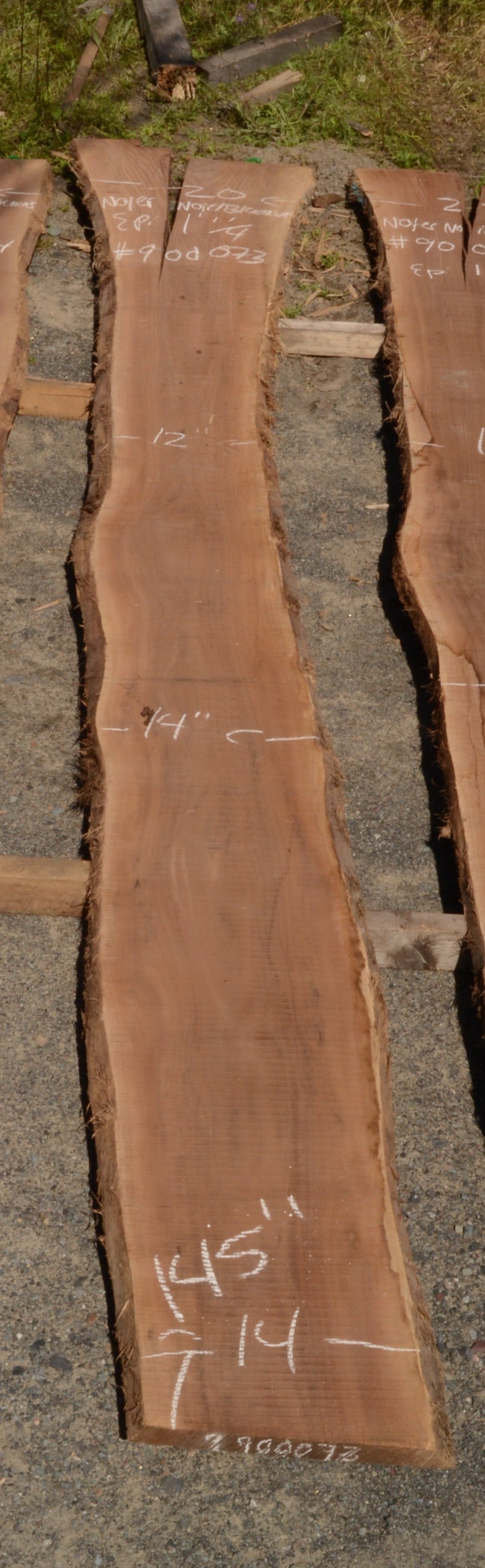 30 Beautiful Thin Kiln Dried Sanded Black Walnut Lumber Pieces – 12" X 3" X 1/4"