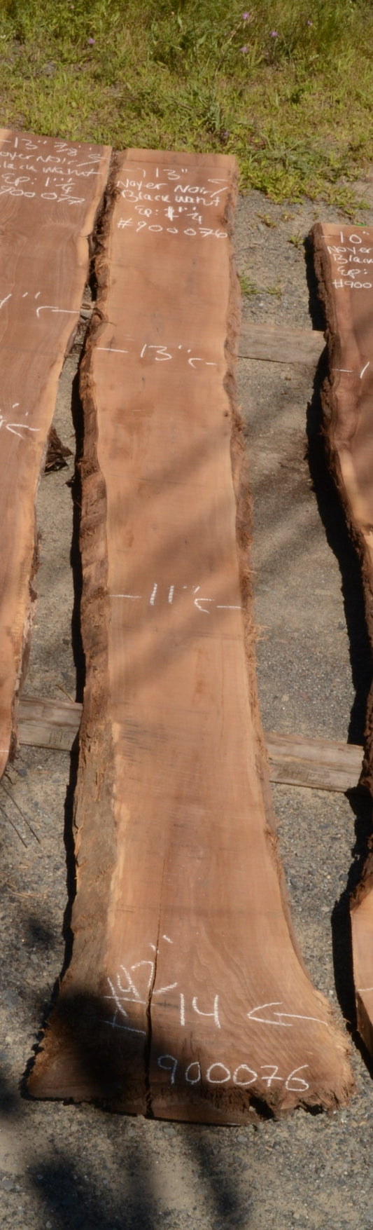 Kiln dried Black Walnut Slab.  (#900076)