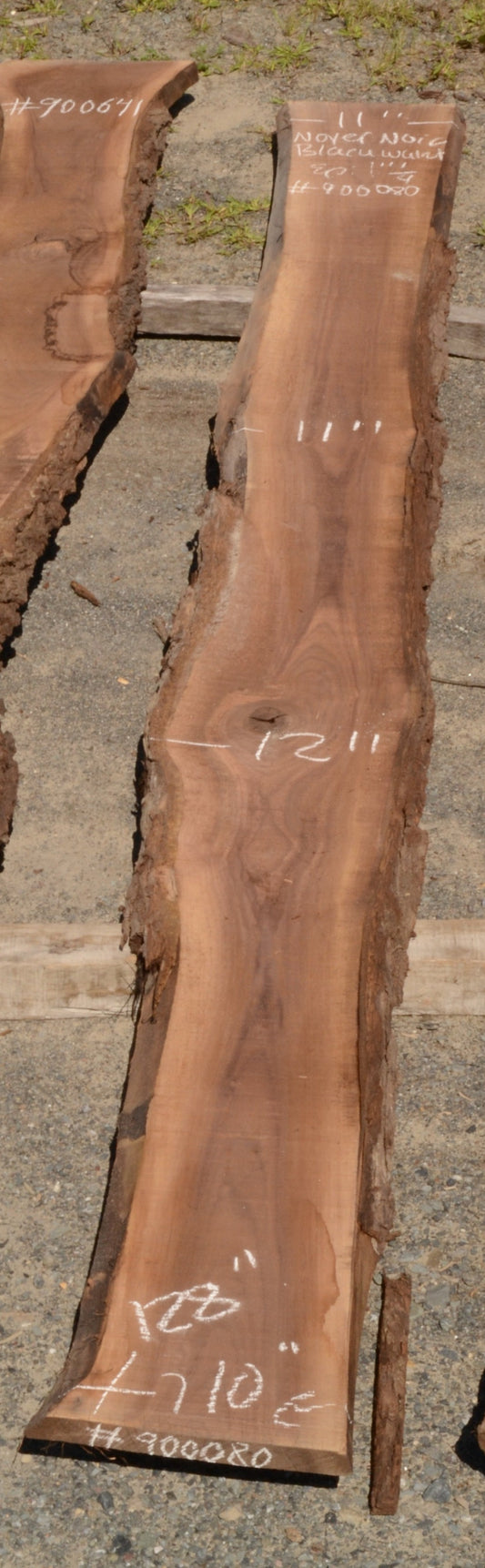 Kiln dried Black Walnut Slab.  (#900080)