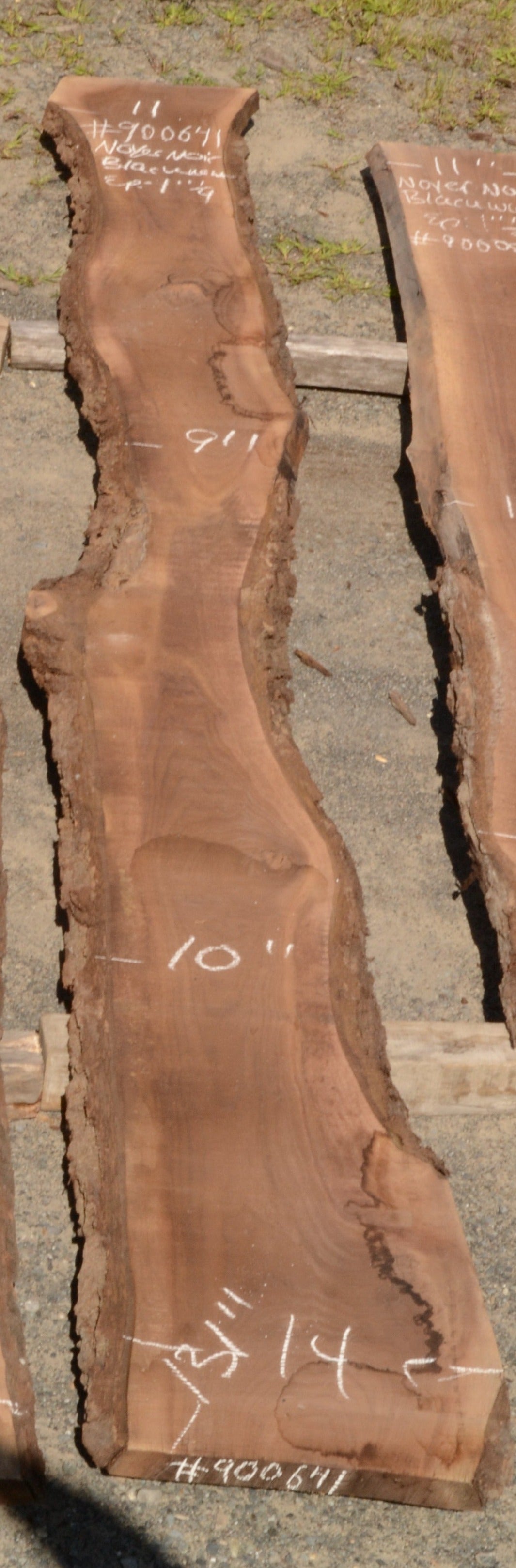 Kiln dried Black Walnut Slab.  (#900641)