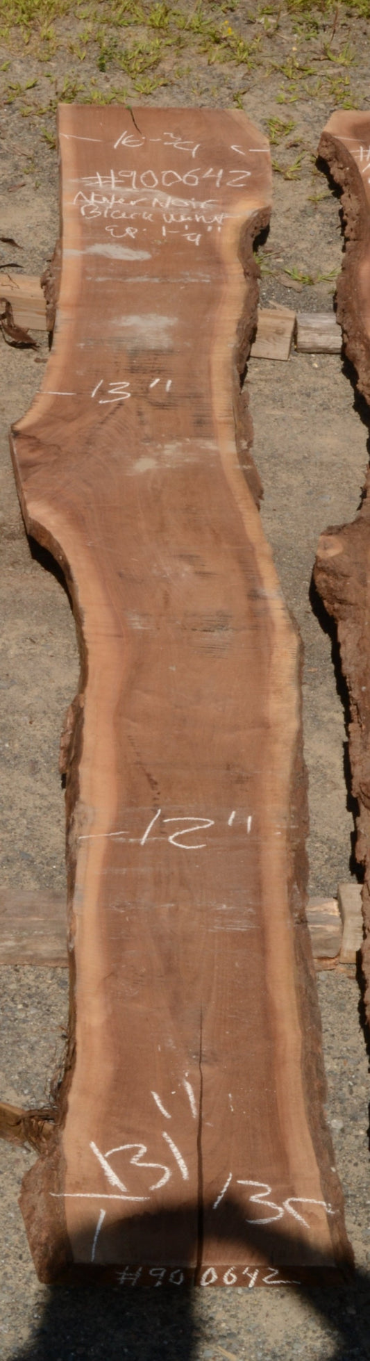 Kiln dried Black Walnut Slab.  (#900642)