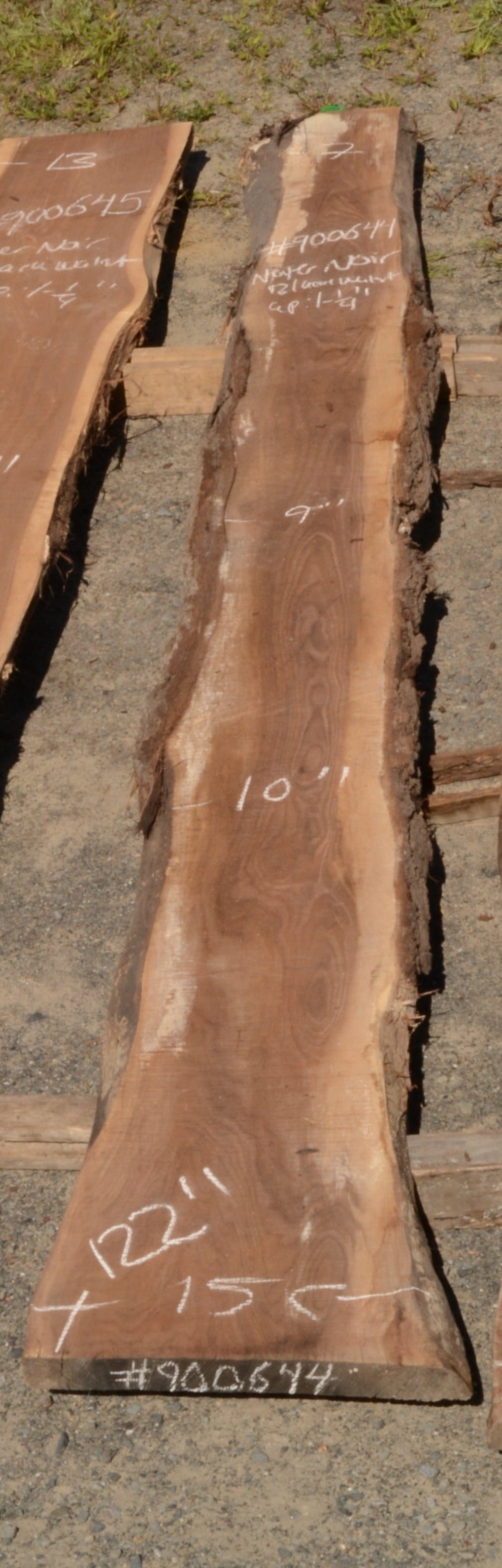 Kiln dried Black Walnut Slab.  (#900644)