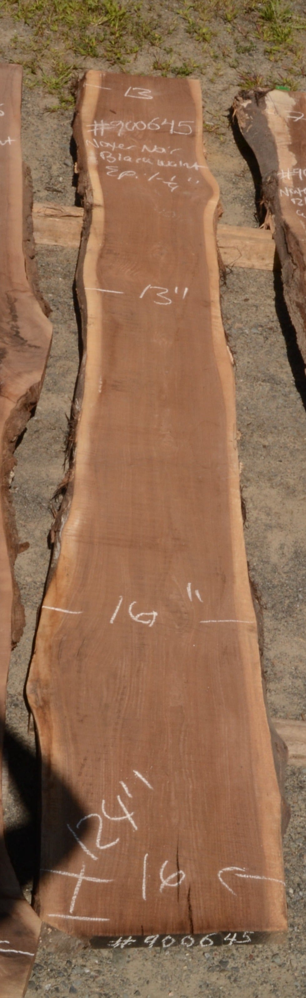 Kiln dried Black Walnut Slab.  (#900645)