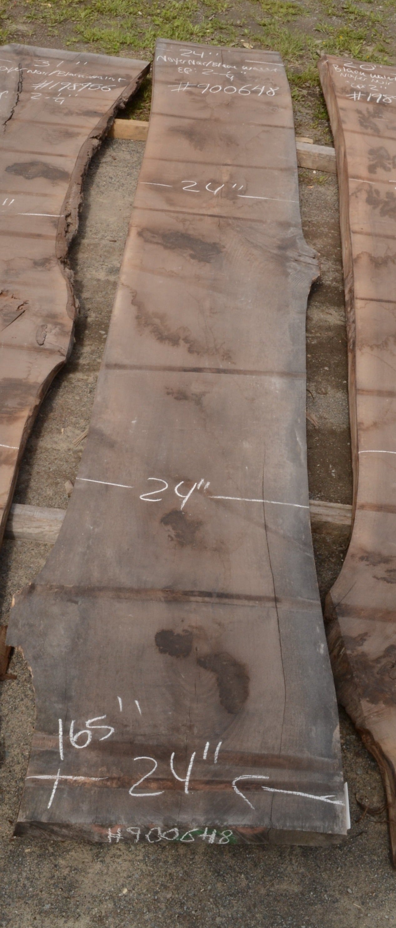 Kiln dried Black Walnut Slab.  (#900648)