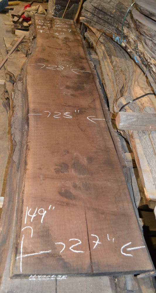 Kiln dried Black Walnut Slab.  (#900659)