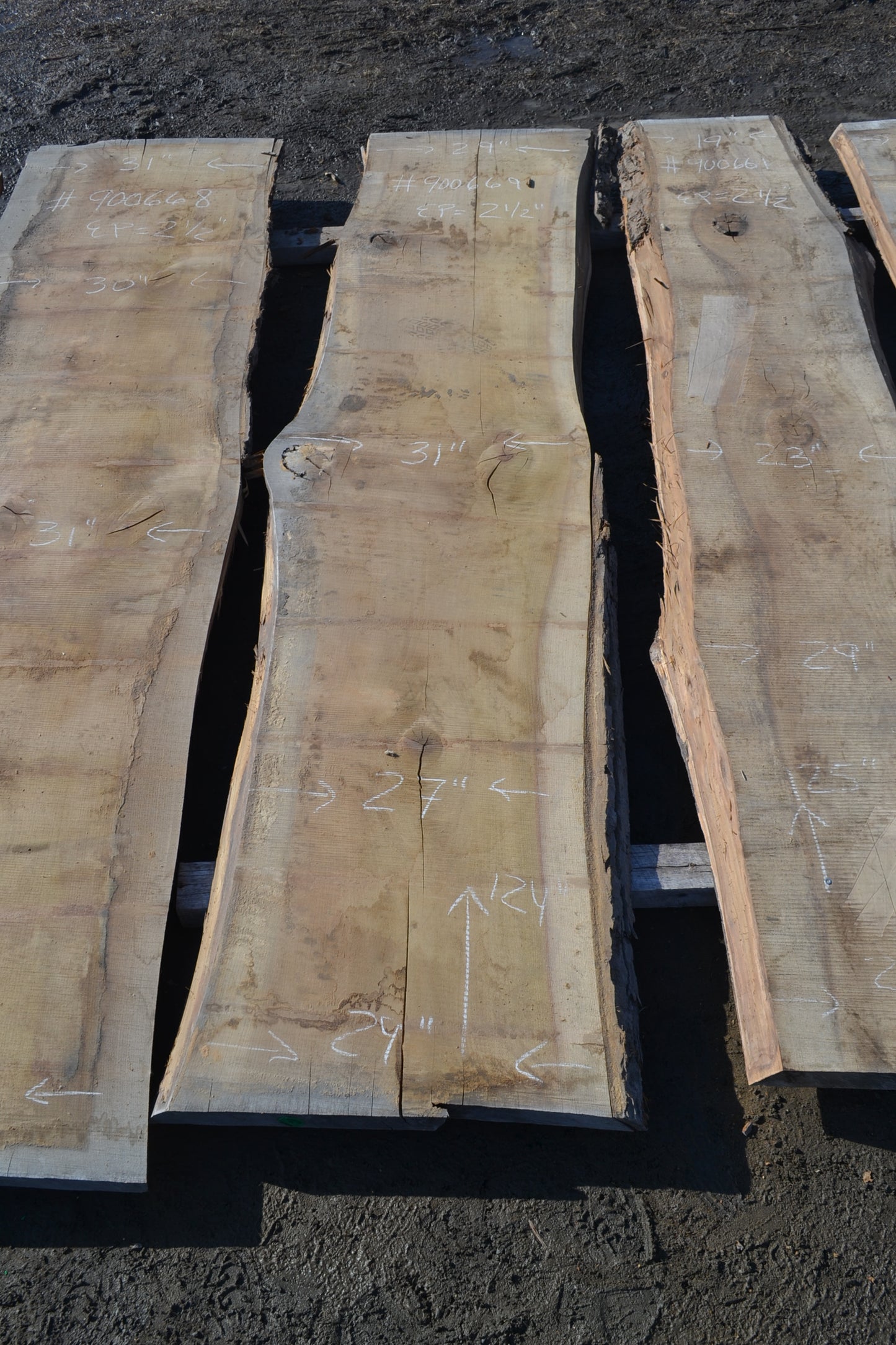 Kiln dried Tulip Slab (#900669)