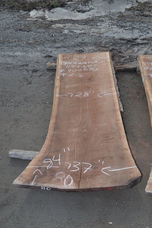 Kiln dried Black Walnut Slab (#900670)