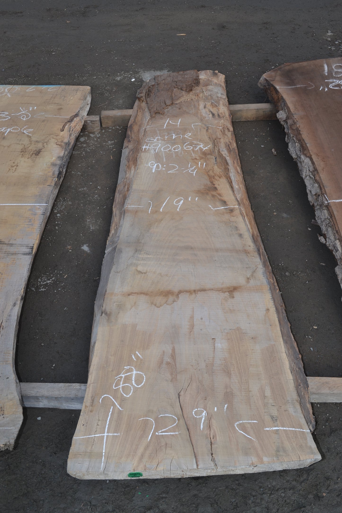 Kiln dried Red Elm Slab (#900674)